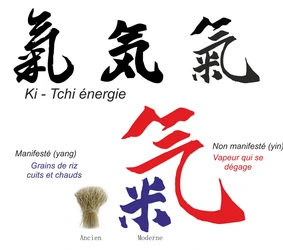 du fondateur de l'aïkido à Alain Peyrache sensei